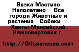 Вязка Мастино Наполетано  - Все города Животные и растения » Собаки   . Ханты-Мансийский,Нижневартовск г.